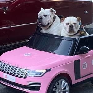 Meet your Posher, Benita